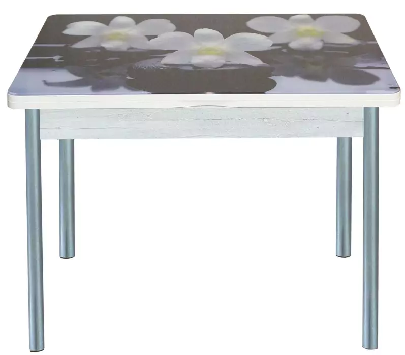 Стол обеденный поворотно-раскладной с фотопечатью Симпл Орхидея на черных камнях/Серебристый металлик